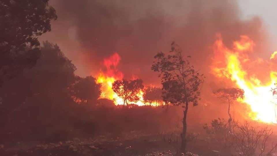 wildfire in Algeria