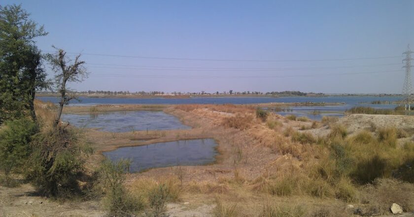 Punjab Govt to renovate Pyala Lake near Ghazi Ghat