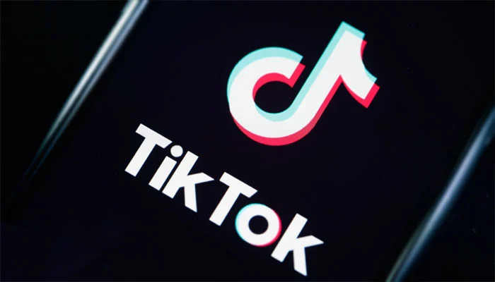 TikTok Releases the First Album of Viral Hits