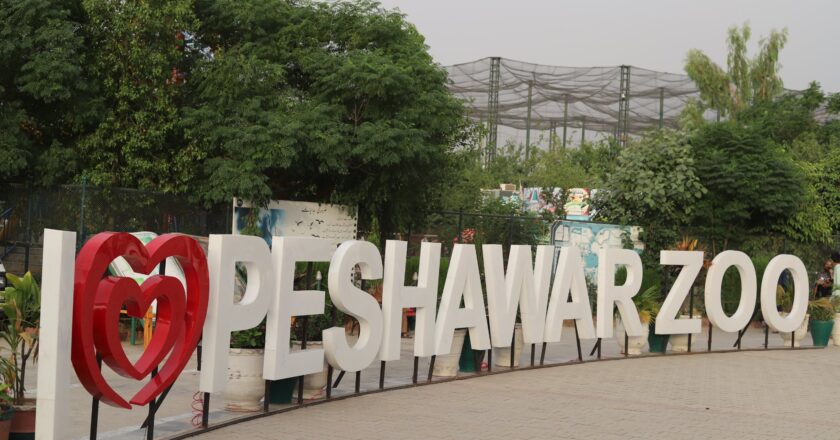 Peshawar Zoo started “Animal Adoption Campaign”