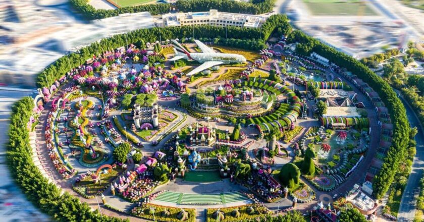 Dubai Miracle Garden re-opens for the 11th season