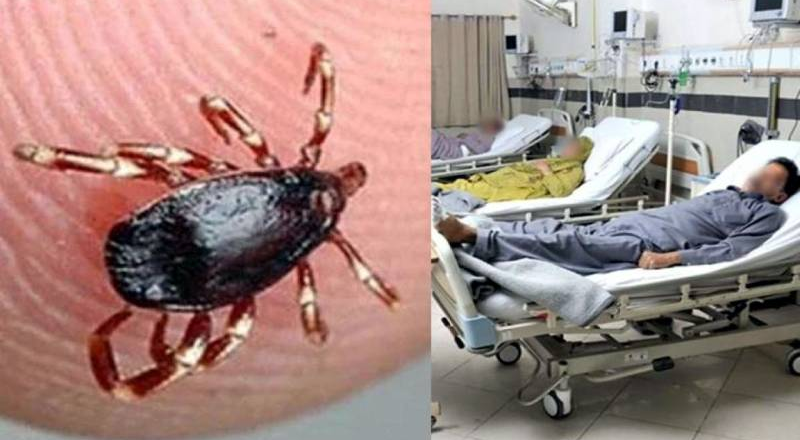 Balochistan Declares Health Emergency To Prevent Congo Virus