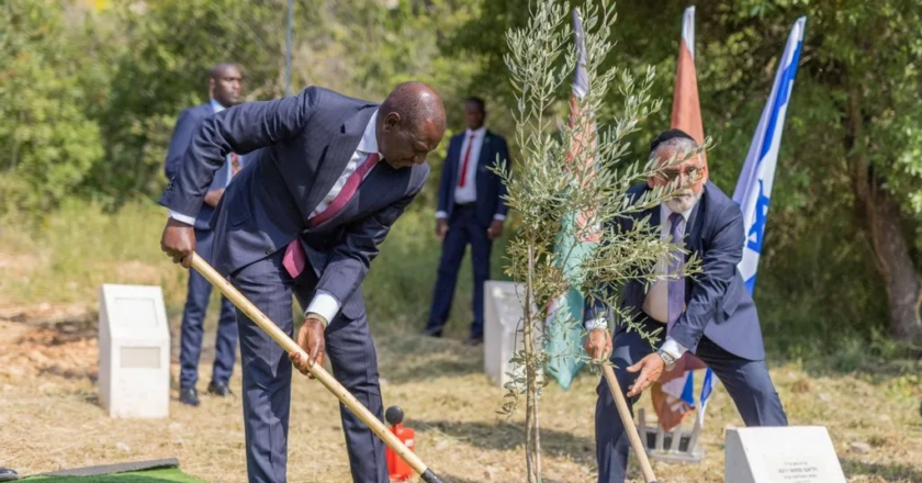 Kenya Declares Special Holiday Named National Tree Growing Day