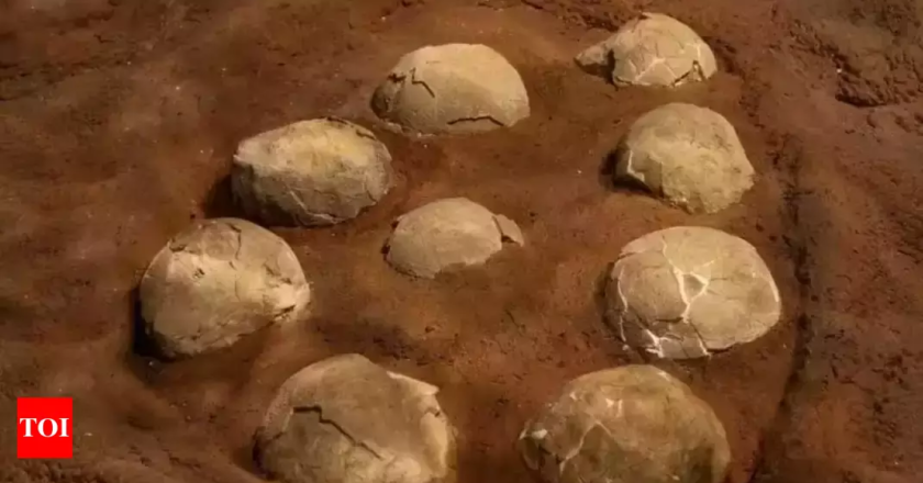Sacred Ancient Stones In India Revealed as Dinosaur Eggs