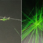 People Shine Laser Pointers at Passenger Plane During Festival