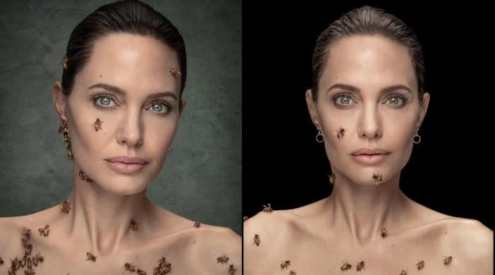 Angelina Jolie Has An Unusual Photo Shoot for Bees Awareness
